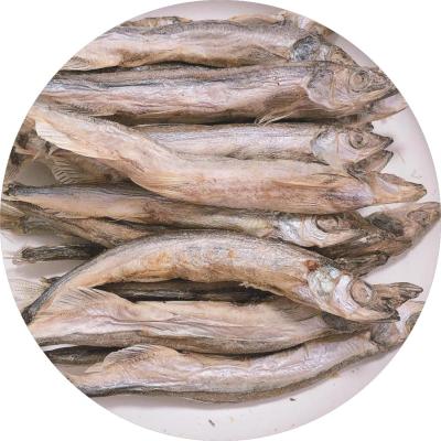 Freeze-dried shisamo